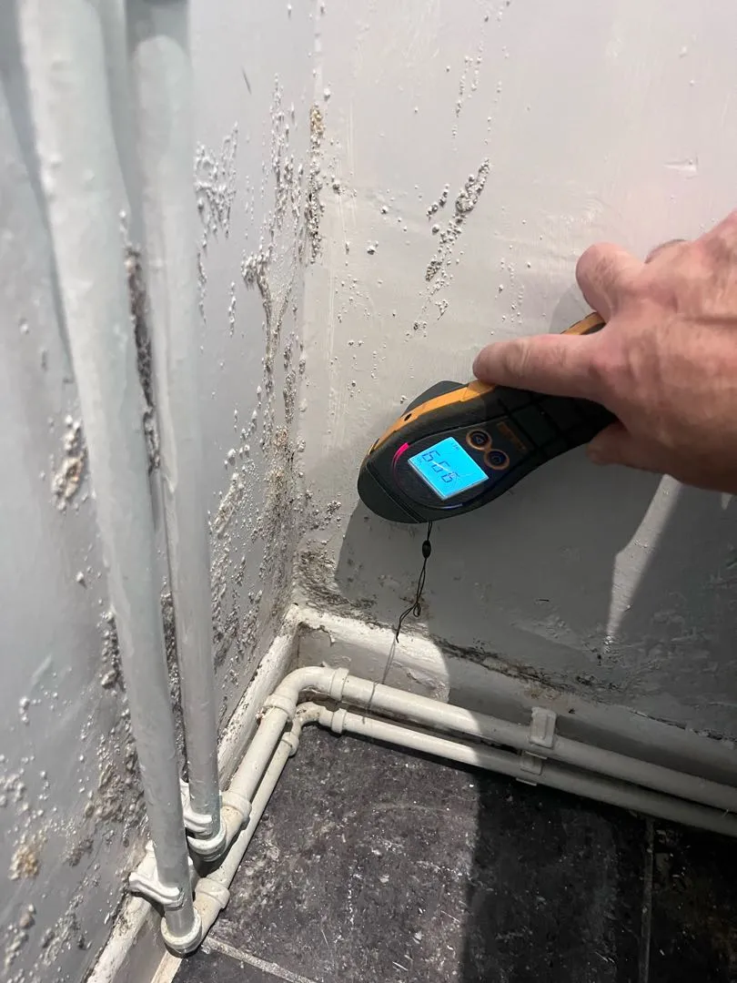 Structural and roof leaks